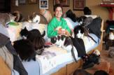 این زن با 1100 گربه زندگی می‌کند