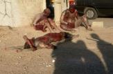 حادثه دلخراش در آستانه چهارشنبه‌ سوری/عکس